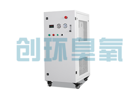 克拉玛依石斑鱼养殖水质调控完整指南：臭氧发生器配置与操作步骤