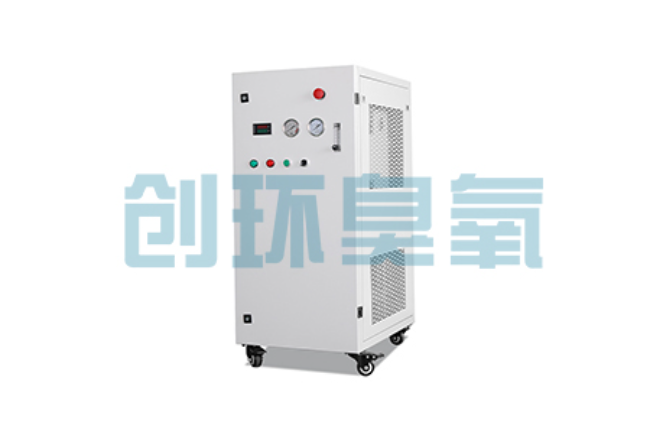 克拉玛依比传统换水更高效？臭氧发生器在石斑鱼养殖中的水质净化原理解析